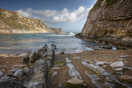 Photo by David Steadman