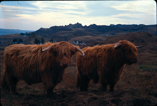 Photo by Christopher Bulle