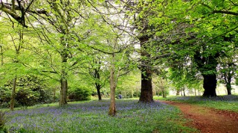 Moneymore, Northern Ireland